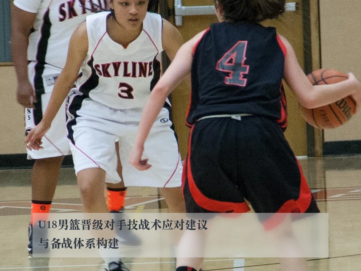 U18男篮晋级对手技战术应对建议与备战体系构建 - leyu.com
